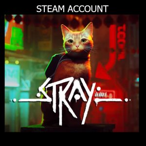 Stray PS4 Account