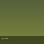 Arma II: Combined Operations Steam Gift