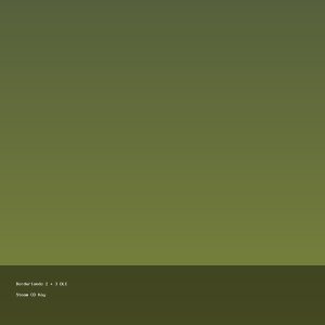 Borderlands 2 + 3 DLC Steam CD Key