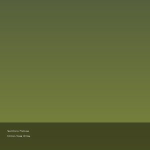 Spellforce Platinum Edition Steam CD Key