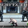 Perfection. Steam CD Key